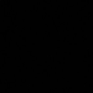 Meet your Posher, Allen